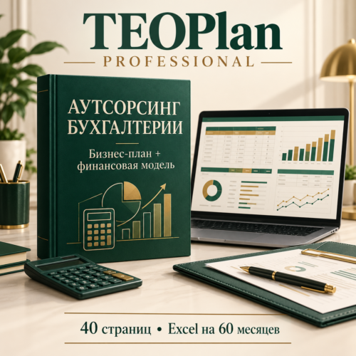 Аутсорсинг бухгалтерии — бизнес-план и финансовая модель TEOPlan Professional