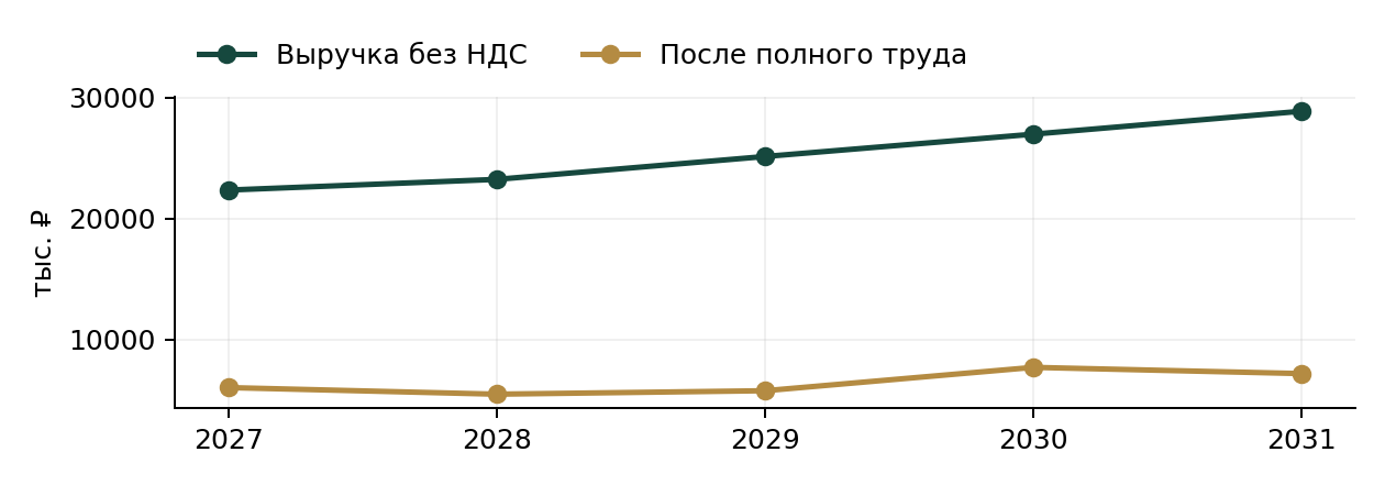Прокат электропитбайков — выручка и результат после всего труда по годам