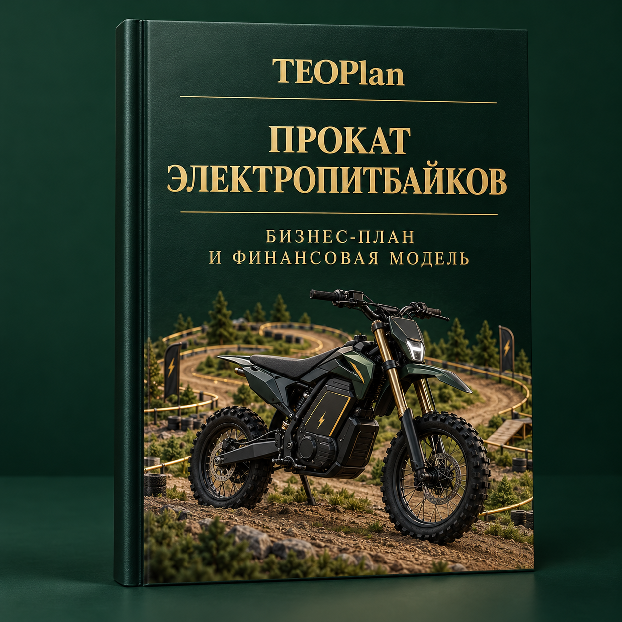 Прокат электропитбайков — бизнес-план и финансовая модель