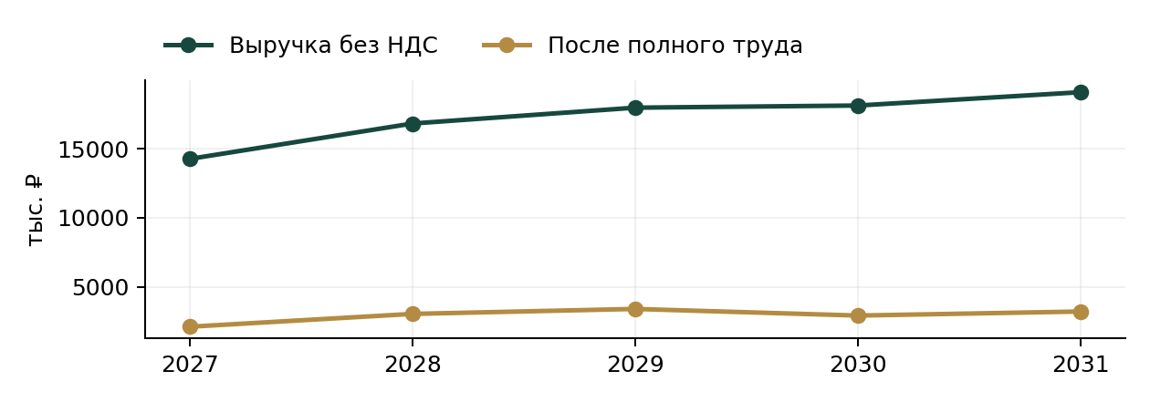 Цех гранолы в пакетах 250 г — условный прогноз выручки и результата после полного труда