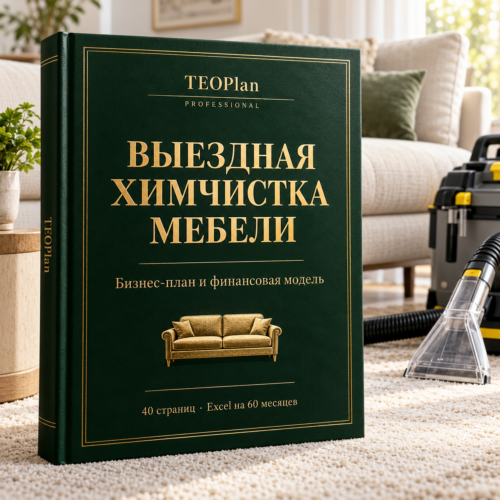 Выездная химчистка мебели — бизнес-план и финансовая модель TEOPlan Professional